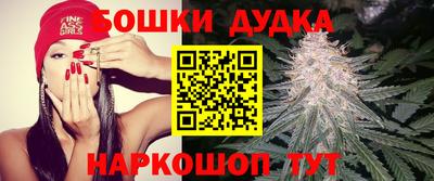 mdpv Лесосибирск