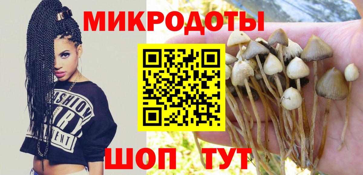 Псилоцибиновые грибы прущие грибы  Вход с VPN  Псилоцибиновые грибы GOLDEN TEACHER  Дзержинск 
